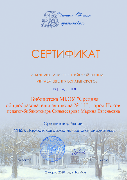 Сертификат Боратынский