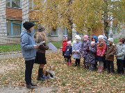 DSC00428.JPG